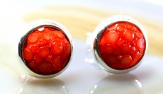 Rochenleder und Silber, Ohrstecker