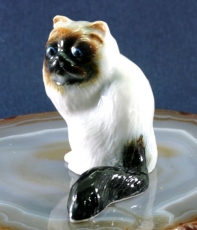 Katze, Porzellanminiatur,Miniatur