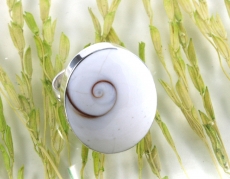Shiva Auge, Ring, 925 Sterling Silber