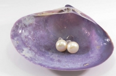 Süßwasserzuchtperlen Ohrstecker