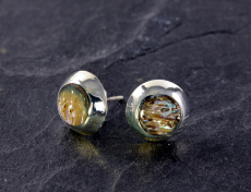 Abalone, Ohrstecker, 925 Sterling Silber