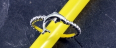 Delfin,Ring, 925 Sterling Silber