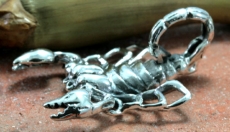 Skorpion, Anhänger, Silber