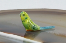 Wellensittich,Porzellanminiatur