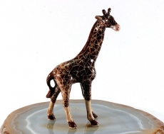 Giraffe, Netzgiraffe, Porzellanminiatur