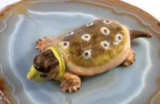 Schildkröte, Porzellanminiaturen