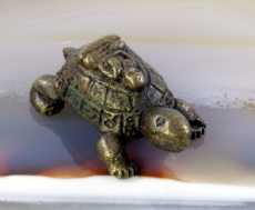 Buddha auf der Schildkröte,Bronze