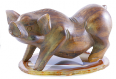 Hängebauchschwein