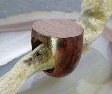 Holz, Ring