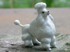 Pudel, Hund, Porzellanminiatur