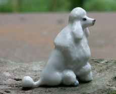 Pudel, Hund, Porzellanminiatur