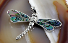 Libelle, Abalone und 925 Sterling Silber