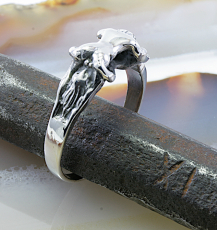 Sex, Ring, Silber