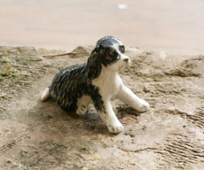 Cocker, Hund, Porzellanminiatur