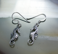 Seepferdchen, Ohrringe, Silber