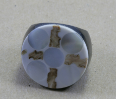 Muschel und Horn, Ring
