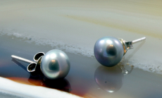 Perle,Ohrstecker, 925 Sterling Silber