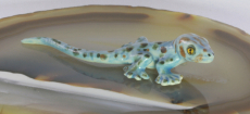 Gecko, Tokey, Porzellanminiatur