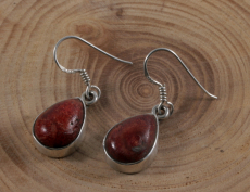 Schaumkoralle und  925 Sterling Silber, Ohrringe