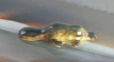 Schnabeltier, Porzellanminiatur