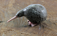 Kiwi, Porzellanminiatur