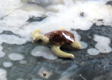 Meeresschildkröte, Porzellanminiatur