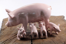 Schwein mit Ferkel, Porzellanminiaturen