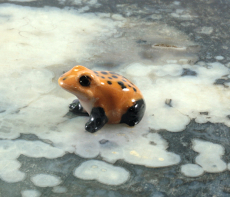 Frosch, Porzellanminiatur