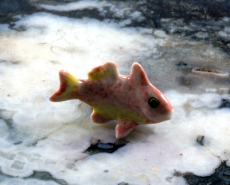 Fisch, Porzellanminiatur
