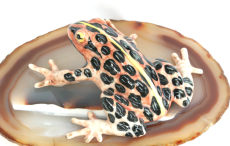 Frosch, Porzellanminiatur