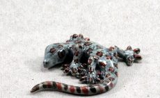Gecko, Tokey, Porzellanminiatur