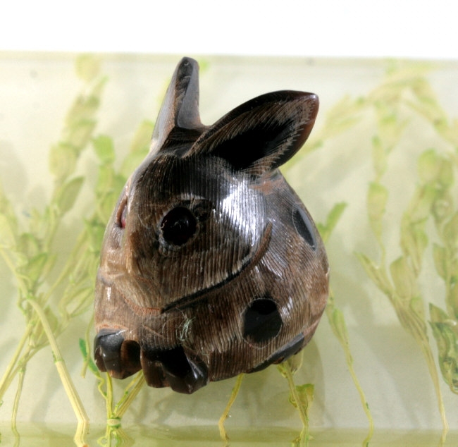 Hase, Horn, Miniatur