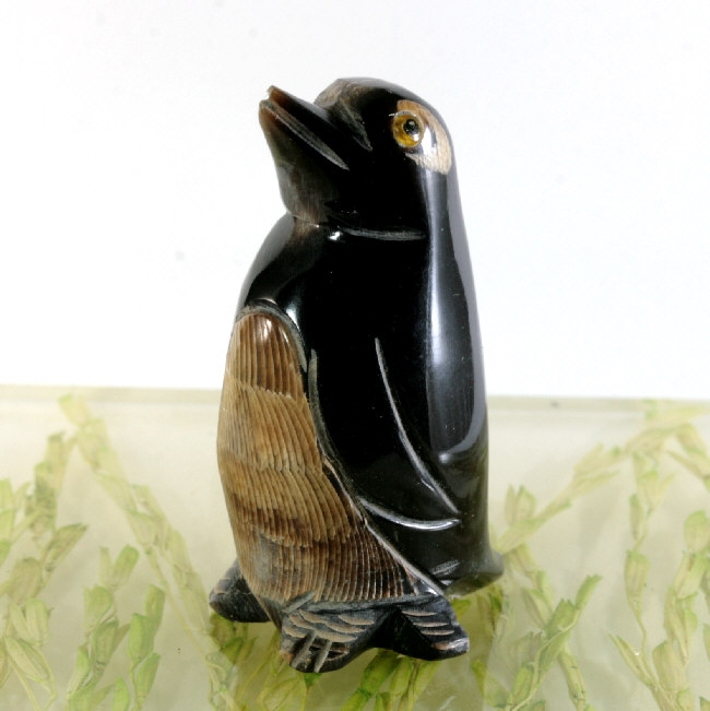 Pinguin, Horn, Miniatur