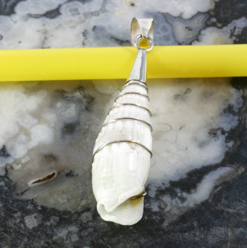 Schnecke und 925 Sterling Silber, Anhänger