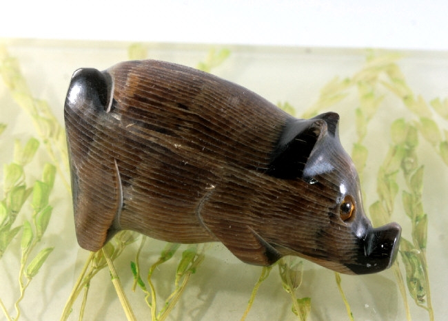 Schwein, Horn, Miniatur