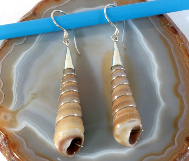 Meeresschnecke und Silber, Ohrringe