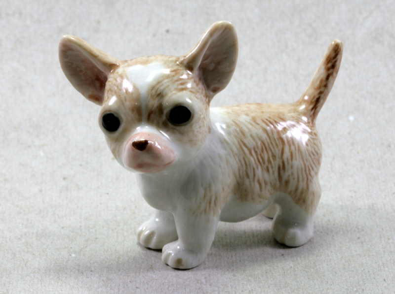 Chihuahua, Porzellanminiatur