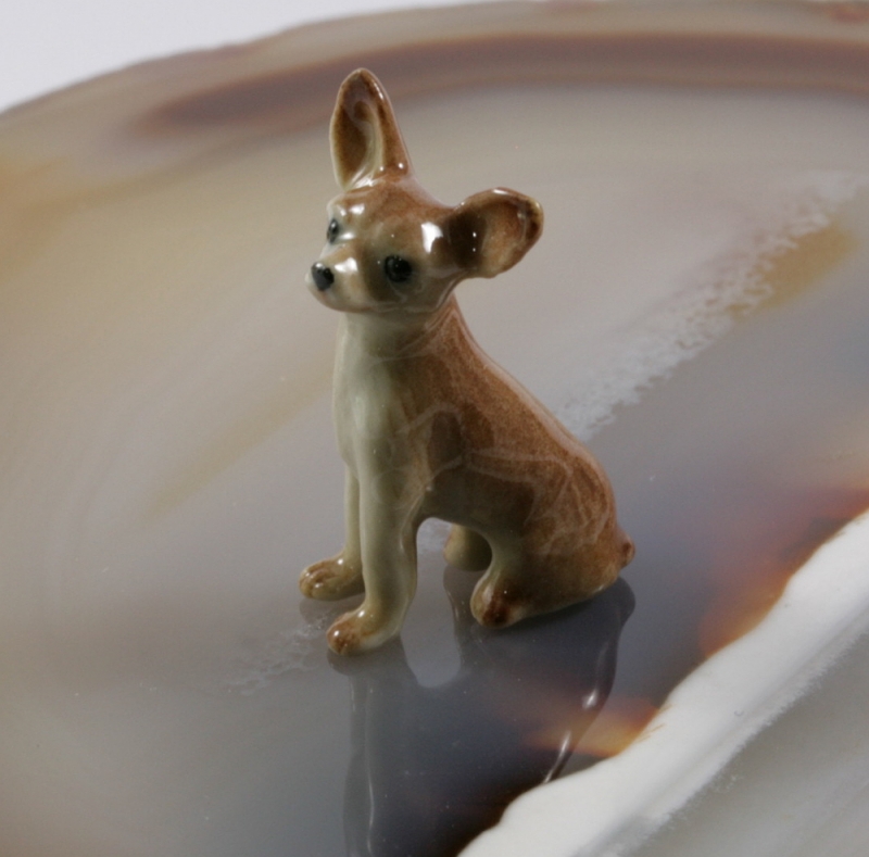 Chihuahua, Welpe, Hund, Porzellanminiatur