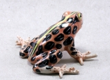 Frosch, Porzellanminiatur