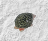 Igel, Porzellanminiatur