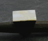 Perlmutt und Horn, Ring
