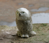 Eule, Schneeeule,Porzellanminiatur