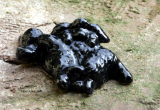 Pudel, Hund, Porzellanminiatur