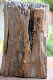 Elefant, Holzskulptur