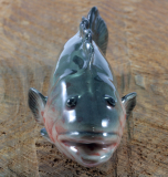 Zackenbarsch, Fisch, Porzellanminiatur