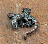 Gecko,Porzellanminiatur