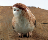 Spatz, Sperling,  Porzellanminiaturen