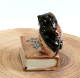 Eule auf dem Buch, Porzellanminiatur